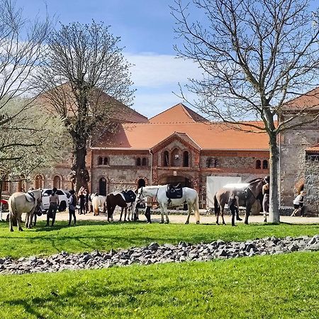 Vila Tinyhousebeidresden 3 Fuer 2 - 7 Personen, Naehe Saechsische Schweiz, Dresden, Mit Badeteich Großharthau Exteriér fotografie