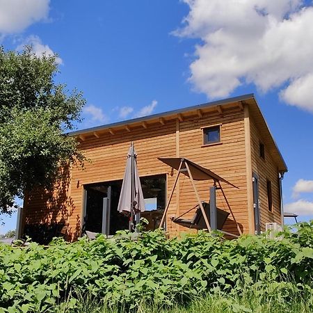 Vila Tinyhousebeidresden 3 Fuer 2 - 7 Personen, Naehe Saechsische Schweiz, Dresden, Mit Badeteich Großharthau Exteriér fotografie