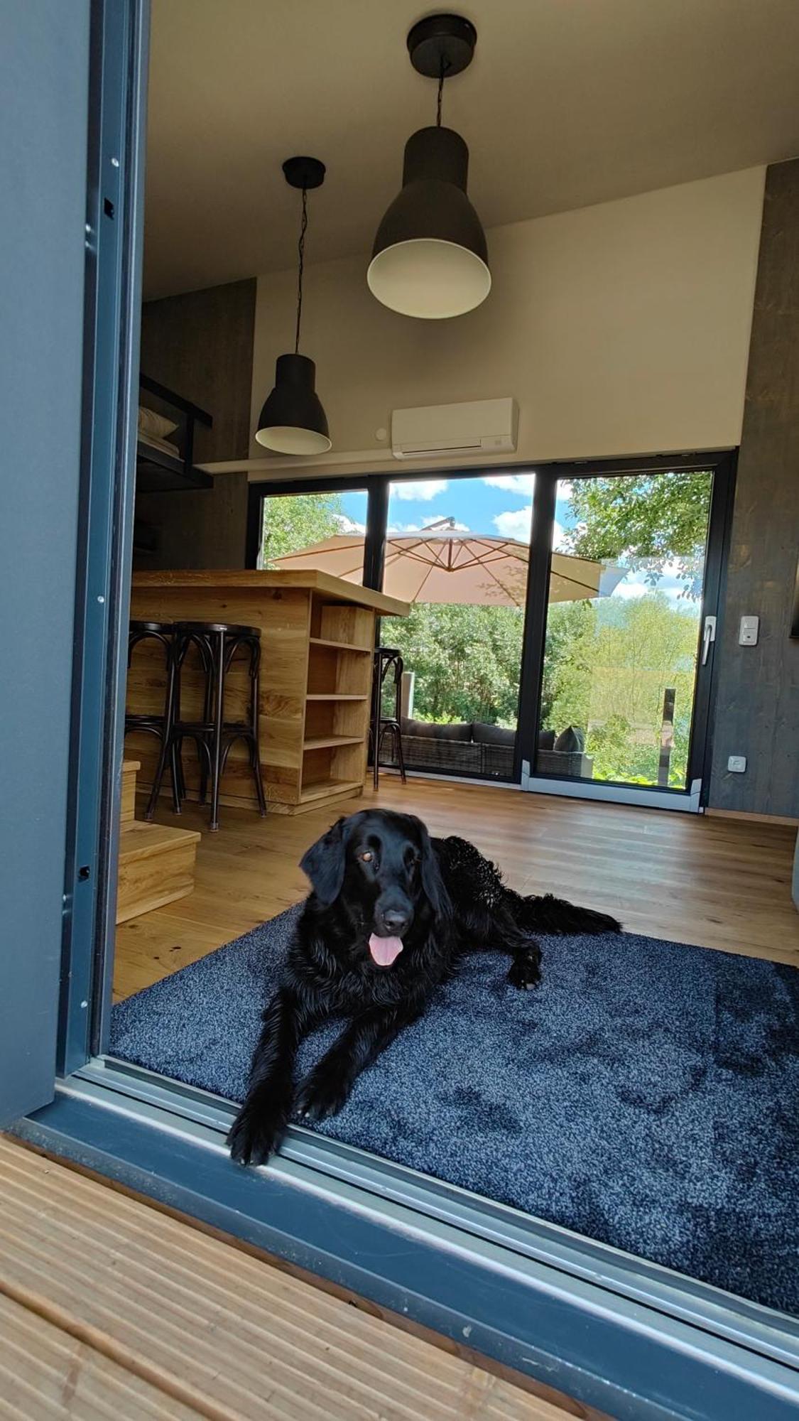 Vila Tinyhousebeidresden 3 Fuer 2 - 7 Personen, Naehe Saechsische Schweiz, Dresden, Mit Badeteich Großharthau Exteriér fotografie