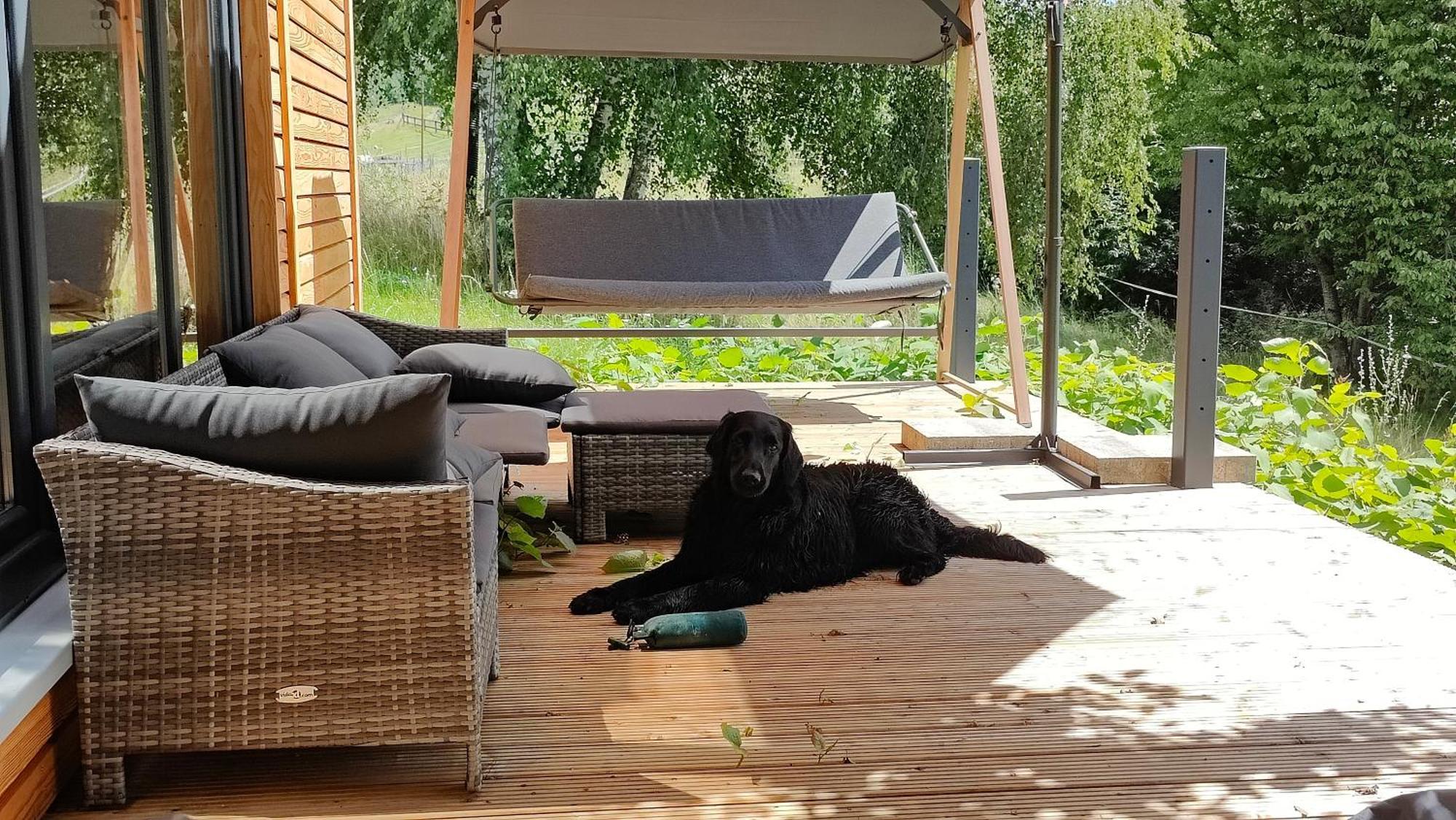 Vila Tinyhousebeidresden 3 Fuer 2 - 7 Personen, Naehe Saechsische Schweiz, Dresden, Mit Badeteich Großharthau Exteriér fotografie